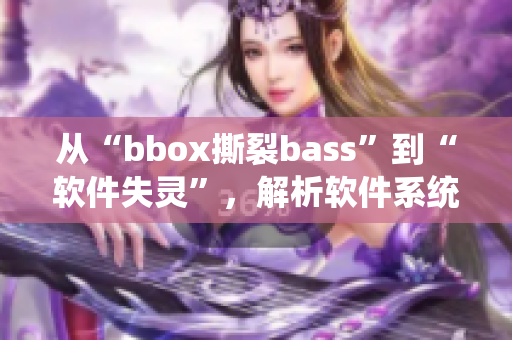 从“bbox撕裂bass”到“软件失灵”，解析软件系统重要性