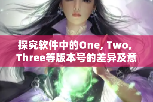 探究软件中的One, Two, Three等版本号的差异及意义