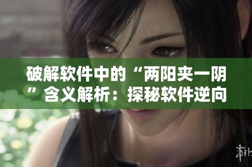 破解软件中的“两阳夹一阴”含义解析：探秘软件逆向工程技术