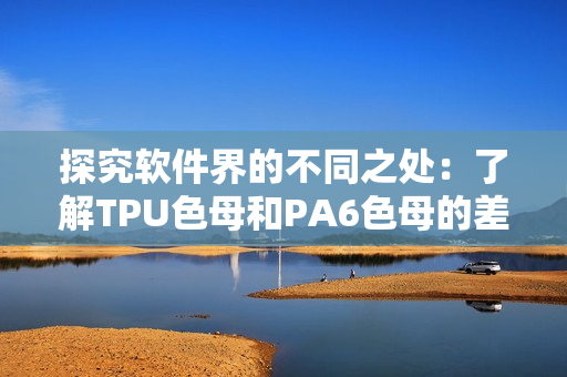 探究软件界的不同之处：了解TPU色母和PA6色母的差异