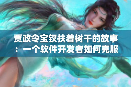 贾政令宝钗扶着树干的故事：一个软件开发者如何克服技术难题？