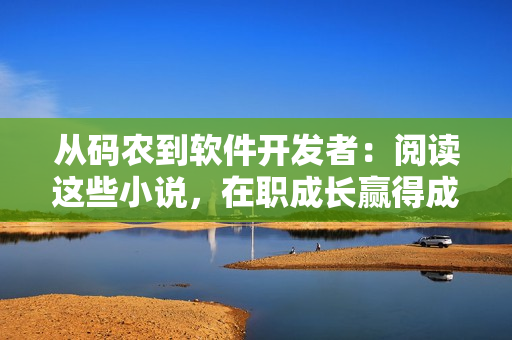 从码农到软件开发者：阅读这些小说，在职成长赢得成功！