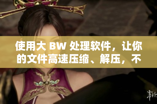 使用大 BW 处理软件，让你的文件高速压缩、解压，不仅安全而且稳定