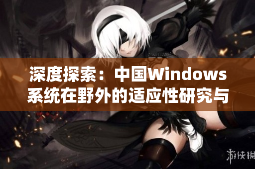 深度探索：中国Windows系统在野外的适应性研究与解析