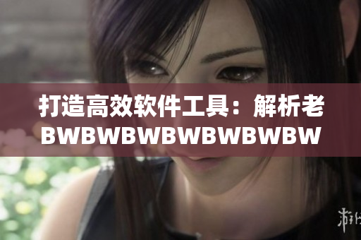 打造高效软件工具：解析老BWBWBWBWBWBWBW的代码和创新功能