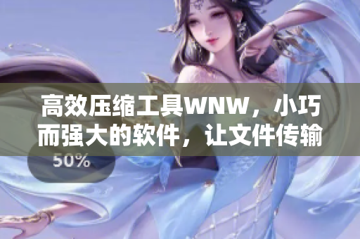 高效压缩工具WNW，小巧而强大的软件，让文件传输轻松自如