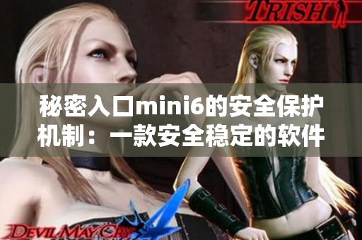 秘密入口mini6的安全保护机制：一款安全稳定的软件