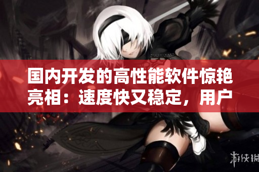 国内开发的高性能软件惊艳亮相：速度快又稳定，用户口碑爆棚！