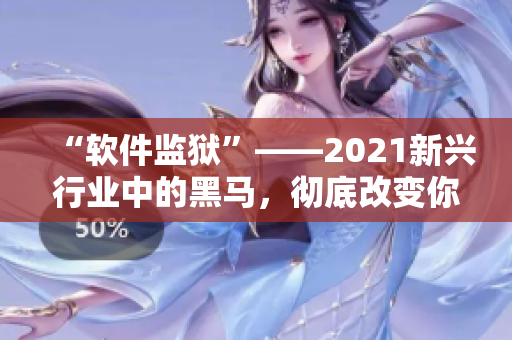 “软件监狱”——2021新兴行业中的黑马，彻底改变你对软件安全的认知！