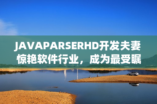 JAVAPARSERHD开发夫妻惊艳软件行业，成为最受瞩目的编程工具之一