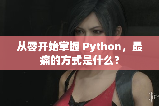 从零开始掌握 Python，最痛的方式是什么？
