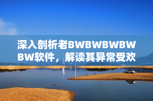 深入剖析老BWBWBWBWBW软件，解读其异常受欢迎的原因！