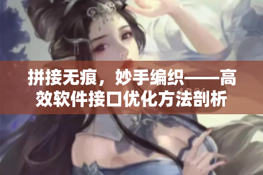 拼接无痕，妙手编织——高效软件接口优化方法剖析
