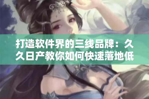 打造软件界的三线品牌：久久日产教你如何快速落地低价高质的软件开发