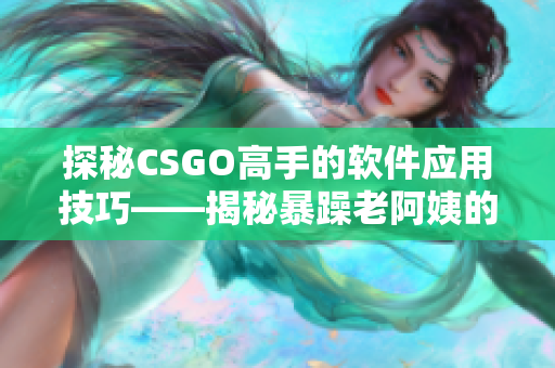 探秘CSGO高手的软件应用技巧——揭秘暴躁老阿姨的秘密利器