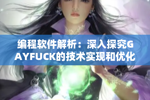 编程软件解析：深入探究GAYFUCK的技术实现和优化方法