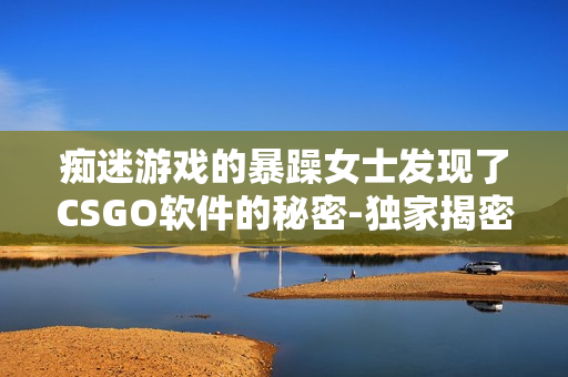 痴迷游戏的暴躁女士发现了CSGO软件的秘密-独家揭密！