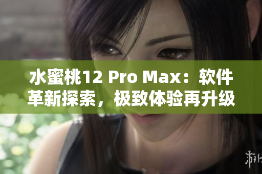 水蜜桃12 Pro Max：软件革新探索，极致体验再升级