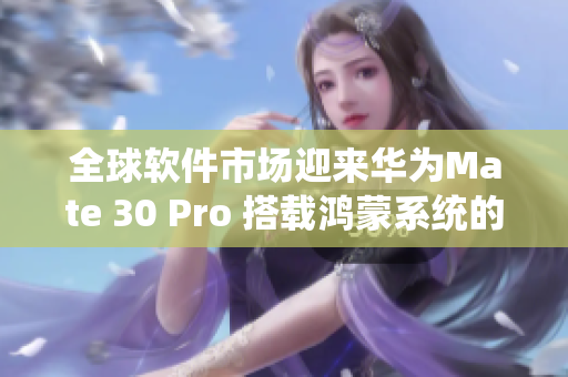 全球软件市场迎来华为Mate 30 Pro 搭载鸿蒙系统的潜力挑战