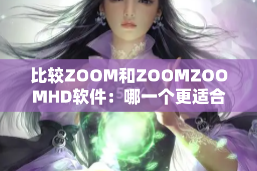 比较ZOOM和ZOOMZOOMHD软件：哪一个更适合您？