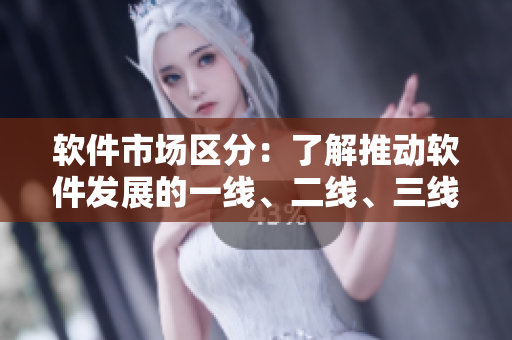 软件市场区分：了解推动软件发展的一线、二线、三线产区