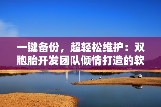 一键备份，超轻松维护：双胞胎开发团队倾情打造的软件