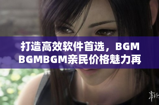 打造高效软件首选，BGMBGMBGM亲民价格魅力再升级！