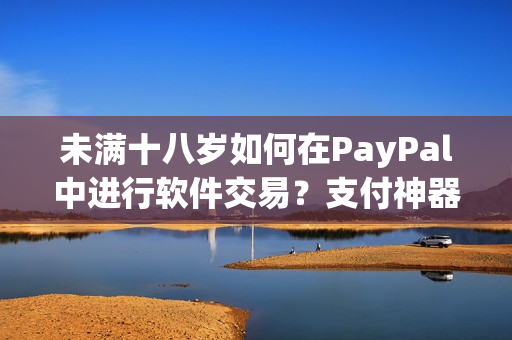 未满十八岁如何在PayPal中进行软件交易？支付神器带你轻松体验！