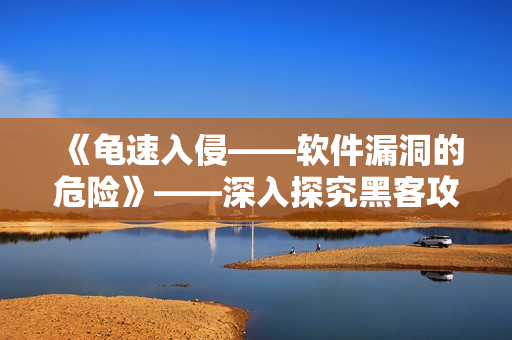 《龟速入侵——软件漏洞的危险》——深入探究黑客攻击面及防范方法