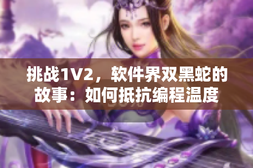 挑战1V2，软件界双黑蛇的故事：如何抵抗编程温度