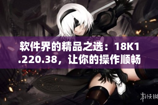 软件界的精品之选：18K1.220.38，让你的操作顺畅高效！