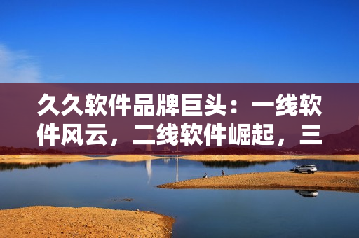 久久软件品牌巨头：一线软件风云，二线软件崛起，三线软件全力冲击市场