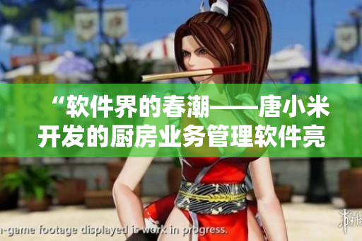 “软件界的春潮——唐小米开发的厨房业务管理软件亮相！”