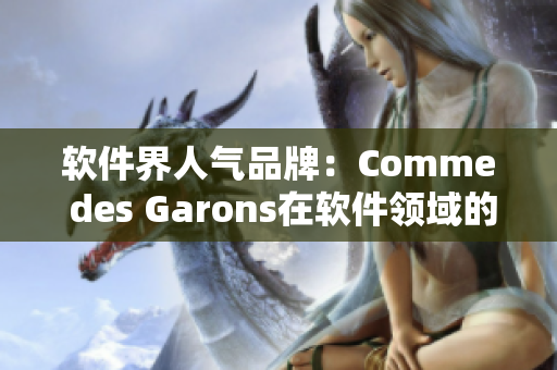 软件界人气品牌：Comme des Garons在软件领域的崛起