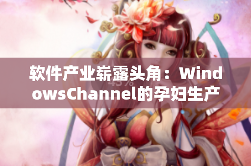 软件产业崭露头角：WindowsChannel的孕妇生产