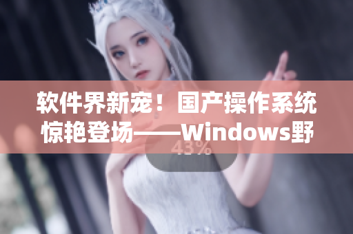 软件界新宠！国产操作系统惊艳登场——Windows野外来袭！