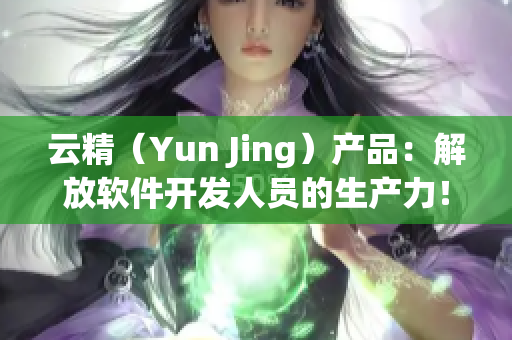 云精（Yun Jing）产品：解放软件开发人员的生产力！