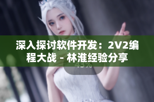 深入探讨软件开发：2V2编程大战 - 林淮经验分享