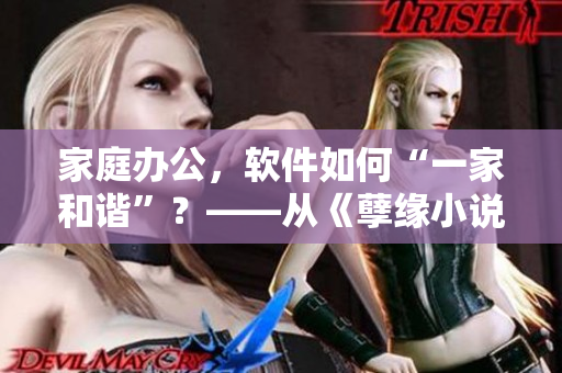 家庭办公，软件如何“一家和谐”？——从《孽缘小说》中汲取启示