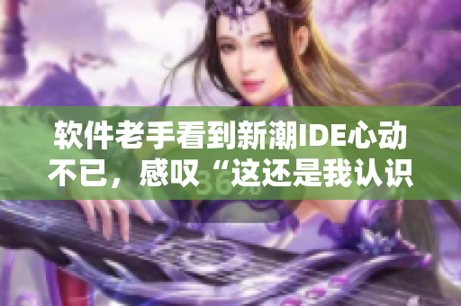 软件老手看到新潮IDE心动不已，感叹“这还是我认识的编程界吗？”