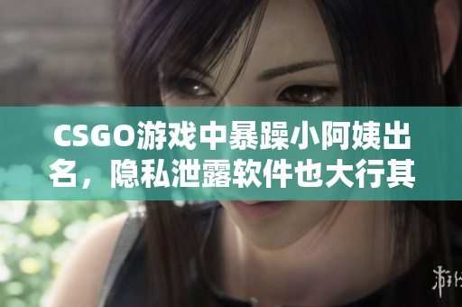 CSGO游戏中暴躁小阿姨出名，隐私泄露软件也大行其道