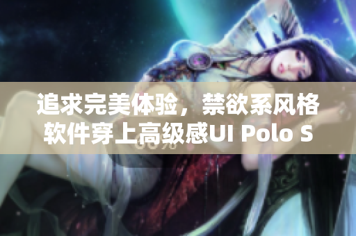 追求完美体验，禁欲系风格软件穿上高级感UI Polo Shirt