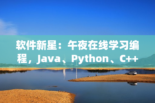 软件新星：午夜在线学习编程，Java、Python、C++应有尽有