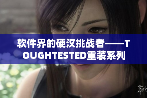 软件界的硬汉挑战者——TOUGHTESTED重装系列