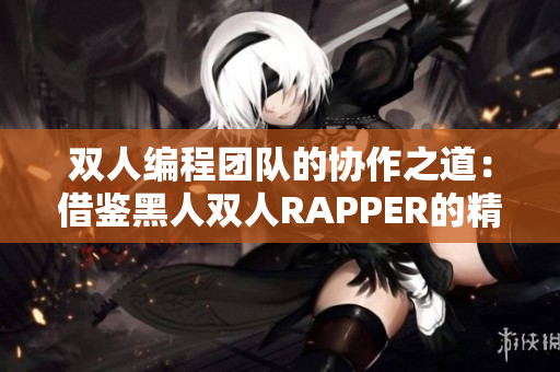 双人编程团队的协作之道：借鉴黑人双人RAPPER的精神