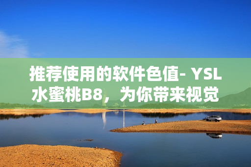 推荐使用的软件色值- YSL水蜜桃B8，为你带来视觉体验升级!