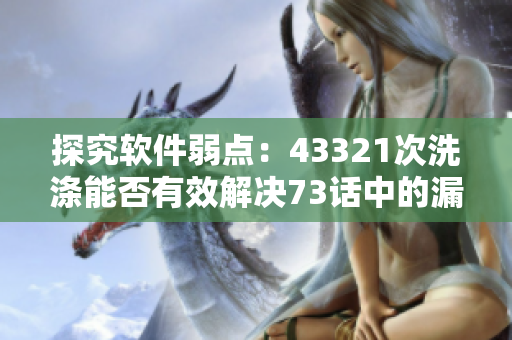 探究软件弱点：43321次洗涤能否有效解决73话中的漏洞？