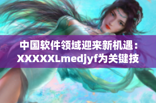 中国软件领域迎来新机遇：XXXXXLmedjyf为关键技术掀起变革