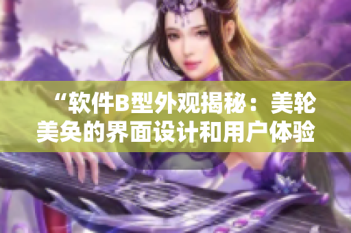 “软件B型外观揭秘：美轮美奂的界面设计和用户体验”