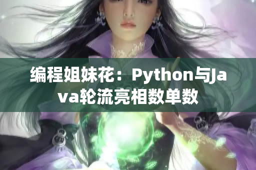 编程姐妹花：Python与Java轮流亮相数单数